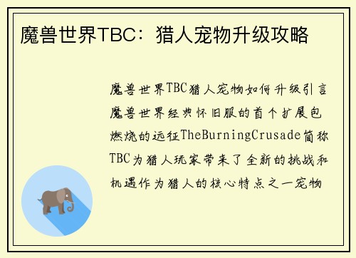 魔兽世界TBC：猎人宠物升级攻略